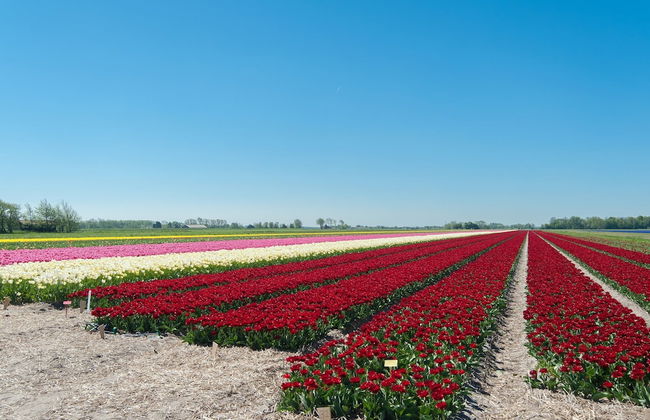 Peaceful Dune Retreat With Garden - Foto 27
