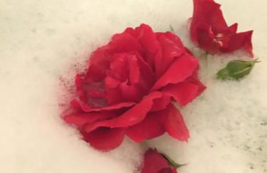 Romantik 2-6P - Foto 27