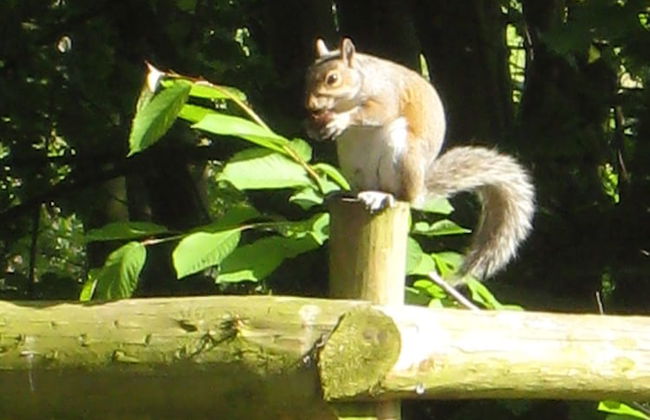 Colston Hall Cottages - Foto 45