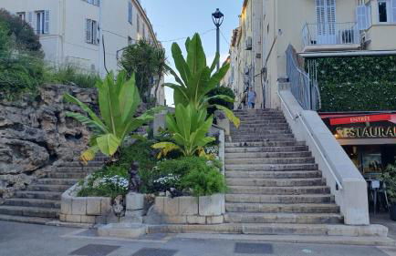 Bel Appartement Typique proche du Palais et Plages - Photo 26