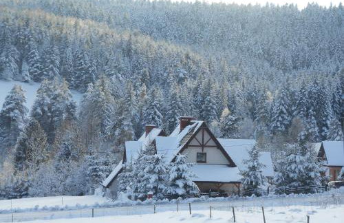 Miodowe Zacisze - Photo 10