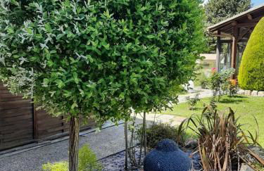 Gite climatisé L'Orée des Landes Proche Center Parcs - Foto 13