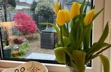 The Blue Door - Foto 14