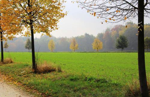 Ferienhaus "Ullersdorfer Teiche" - Foto 21
