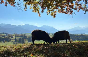 Wörle, Ferienhof - Foto 5