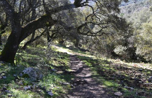 Casa Isabel - Foto 50