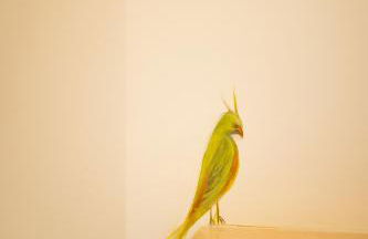 MirAntium - Anzio - Santa Teresa - Photo 31