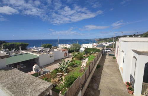 L'OLIVO - San GREGORIO - Foto 22