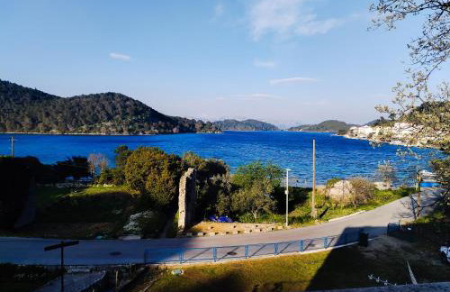 Apartments Patricija - Photo 1