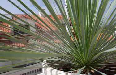 Sitius 5B - NEW seaview apartment with rooftop terrace in historical centre Sitio da Nazaré - Foto 9