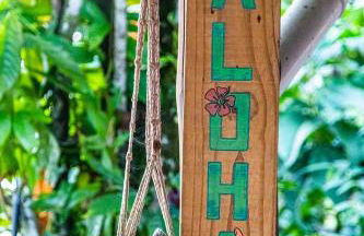 Cambuca Surf Skate - Foto 48