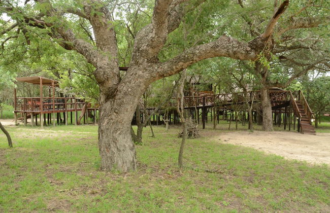 Pezulu Tree House Lodge - Foto 36