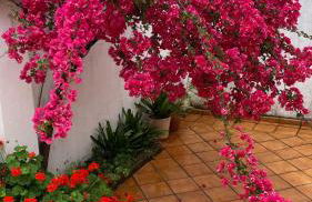 Casa Paloseto - Foto 12