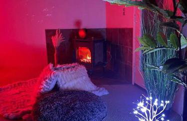 Sweet getaway in private Giant Sequoia Grove! - Foto 26