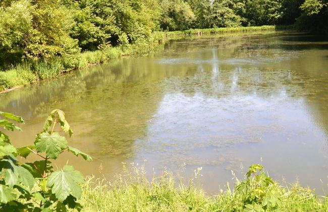 Nature Retreat by the Lakes - Foto 42