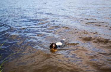 Ferienhäuser Pannier I und oder II - Foto 11