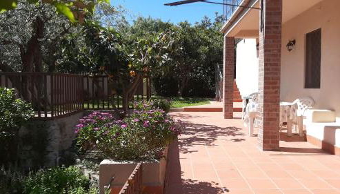 Carrubo - Giardino in città - Foto 4