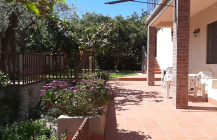 Carrubo - Giardino in città - Foto 4