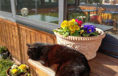 Agriturismo Il Cavallino Saturnia - Foto 27