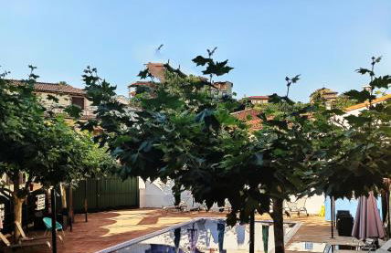 Prado del abuelo - Foto 9