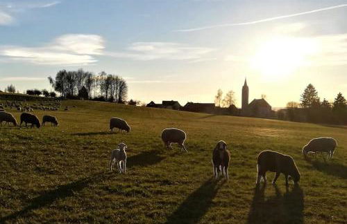 Romantische Zeitreise in historischer Käserei - Foto 13
