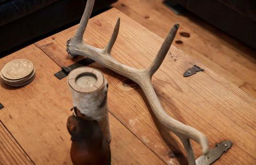 River Access Loft Deck WiFI & Pet Friendly - Foto 28