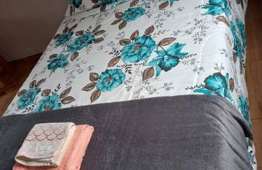 chale 2 canto das montanhas - Foto 5