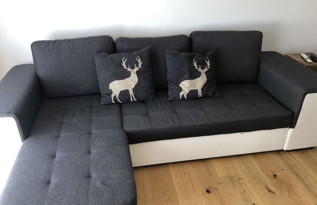 Renovated 3 Rooms Apartment in Ruschein Near Laax - Foto 14