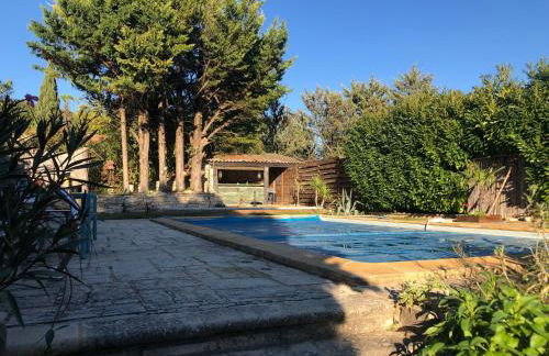 Cabane bambou - Photo 14