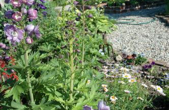 Chata na Zielonym Wzgórzu - Foto 72