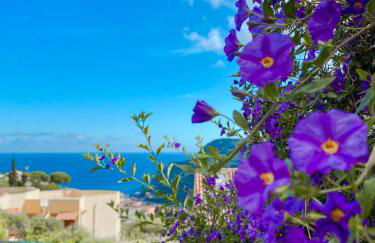 Wanda Mtb Paradise Home - Foto 48