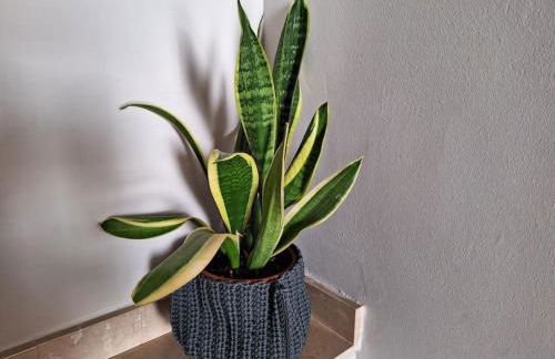 Allotjament amb encant a Tremp - Photo 6