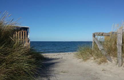 Landhaus Timm - Ferienhaus an der Ostsee - Foto 38