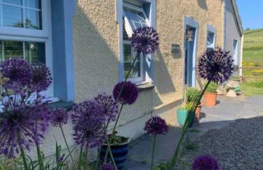 Drws Y Coed - Foto 1