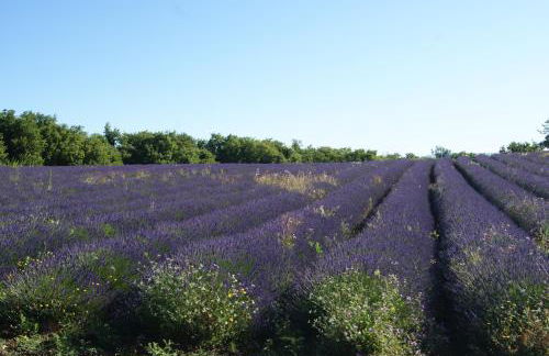 A 5 Minutes des Ocres Gïte La Charite Gordes Roussillon - Foto 38