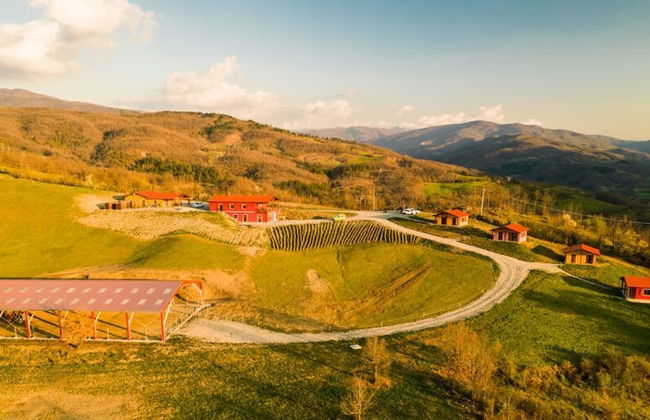 Azienda Agricola Saint Hubert - Foto 87