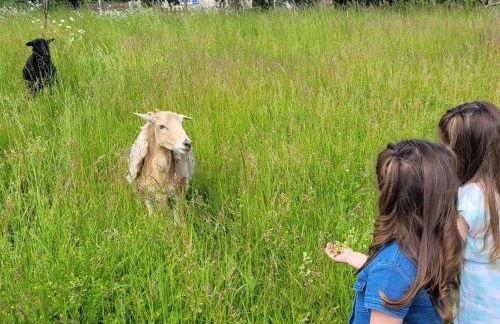 Gîte Le Breuil en Périgord - Charme et Confort - FR-1-653-269 - Foto 34