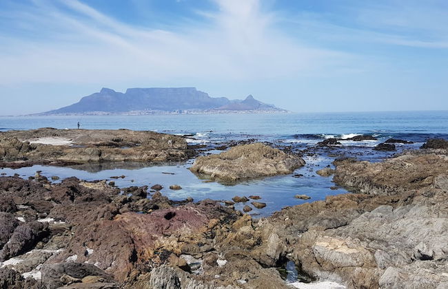 Pinard On Sea - Photo 22