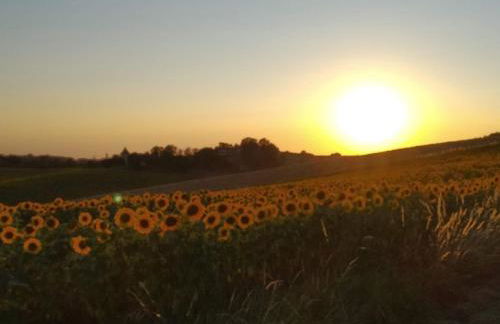 Quartier du Château - Photo 24