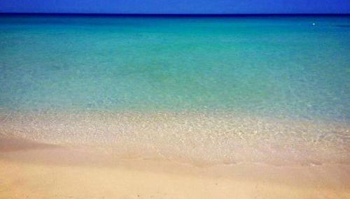 The Onames Inn flowers - Foto 3