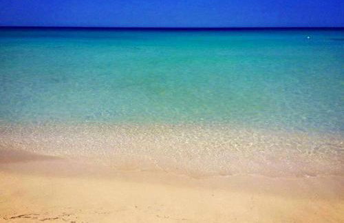 The Onames Inn flowers - Foto 3