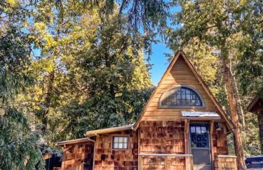 Wildland Zen Den Tiny House Retreat with Fireplace Grill AC Hammock Record Player Musical Instruments Pets OK - Foto 39