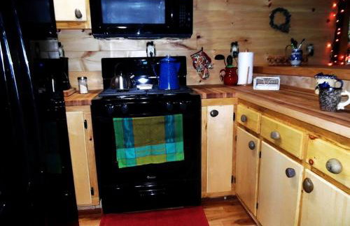 Rustic Woodland Cabin Rental near Oneida Lake, New York - Foto 26