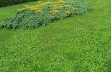 Całoroczny Domek Góry Bieszczady - Foto 17