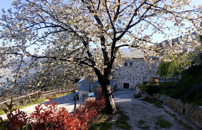 Villa Asterina - Foto 22