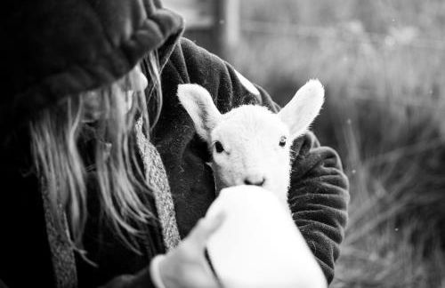 The High Croft - Foto 26