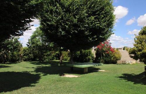 Casa Rural La Alcazaba - Foto 16