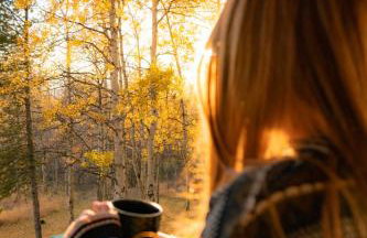 20 min to Yellowstone, Family Cabin, Fire Pit - Photo 36