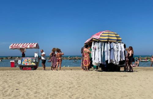 Le Ortensie in centro e vicino al mare - Foto 47