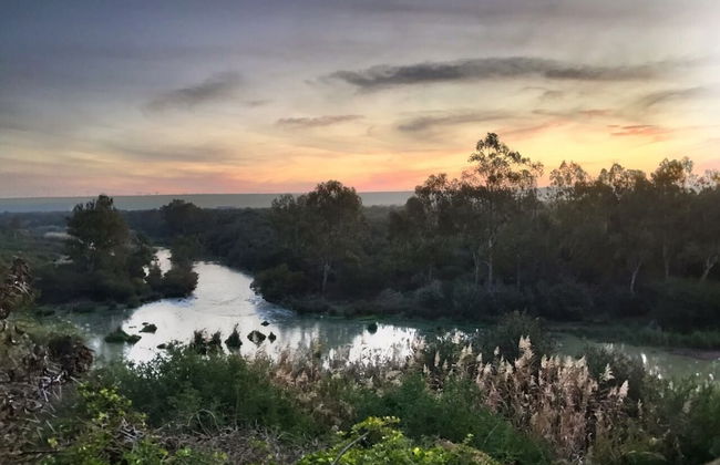 River Front Estate - Photo 33